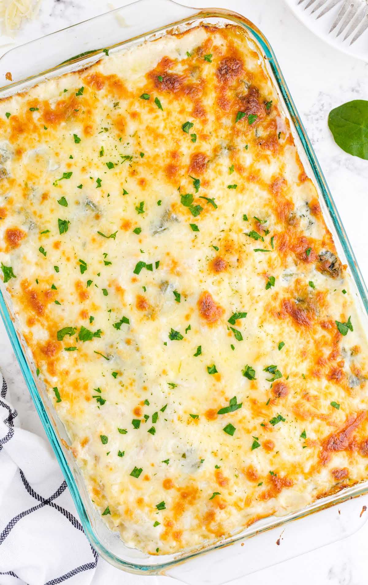 close up overhead shot White chicken lasagna garnished with parsley in a baking dish