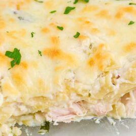 close up shot of White chicken lasagna garnished with parsley in a baking dish