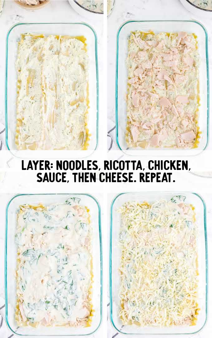 noodles, ricotta, chicken, sauce the cheese layered 