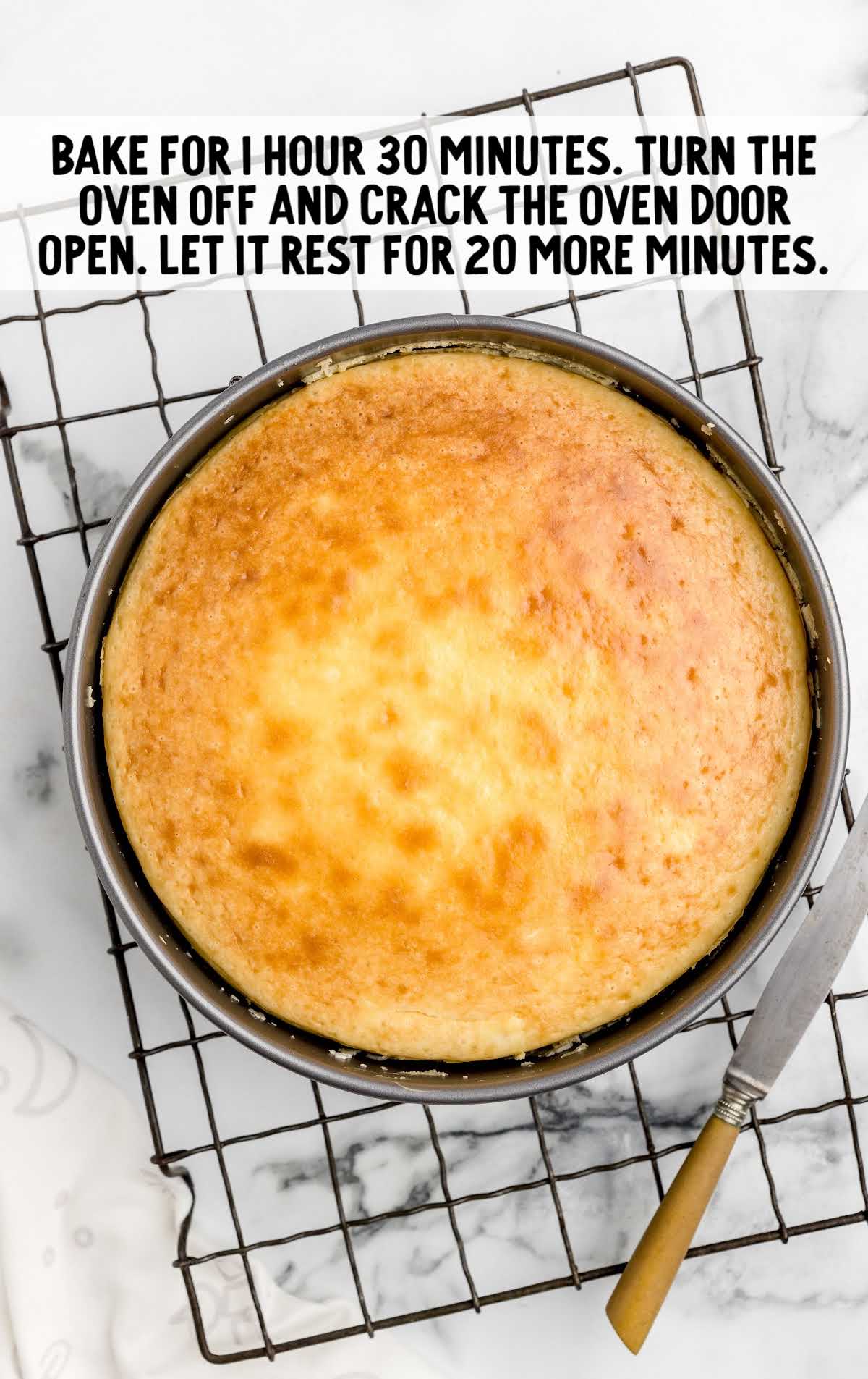 cheesecake batter baked in a pan