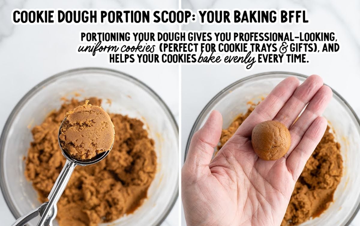 Portioning gingerbread cookie dough with a scoop and rolling it into uniform balls for baking.