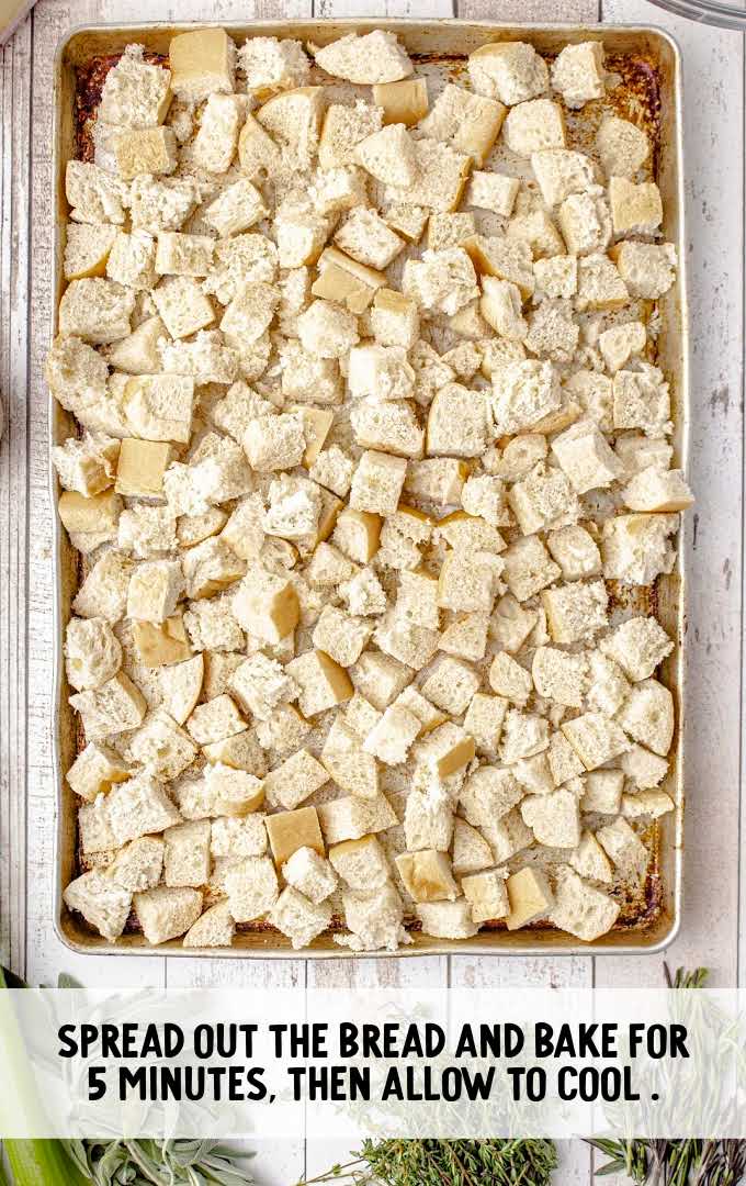 stuffing process shot of cubed bread spread on a baking sheet