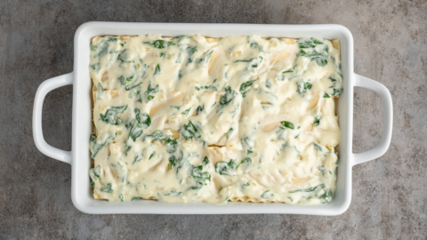 A rectangular white baking dish filled with an uncooked lasagna with cream cheese and spinach, topped with a creamy white sauce, sits on a gray textured surface.