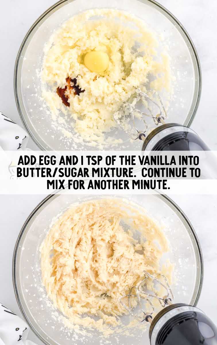 egg and vanilla added into butter/sugar mixture