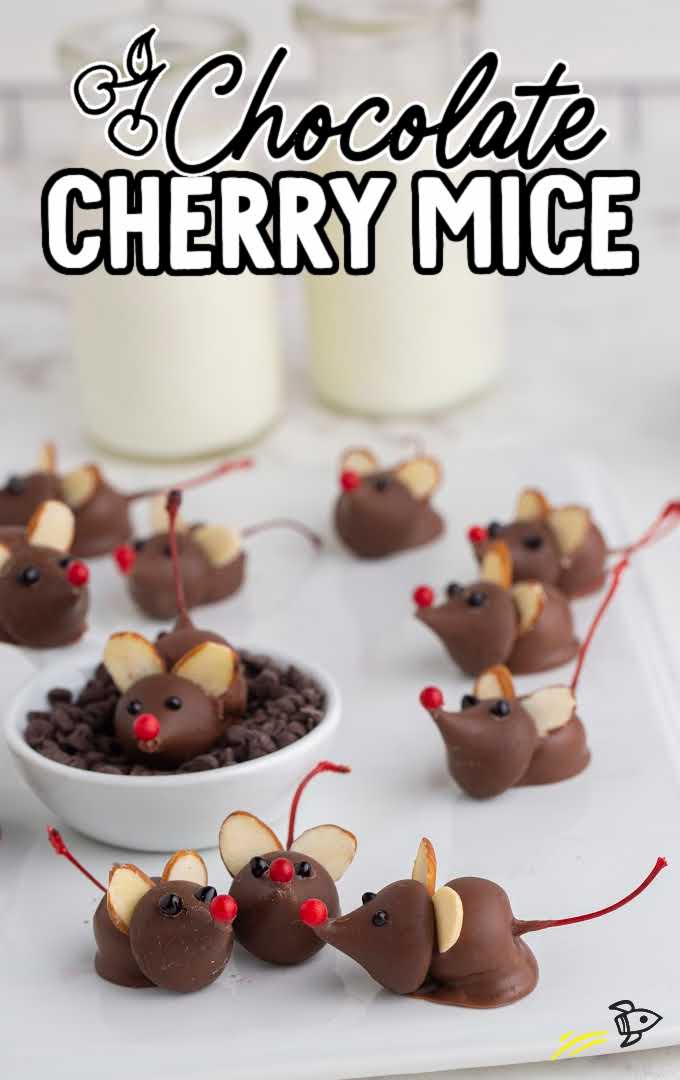close up shot of Chocolate Cherry Mice with one mice on top of bowl of chocolate chips