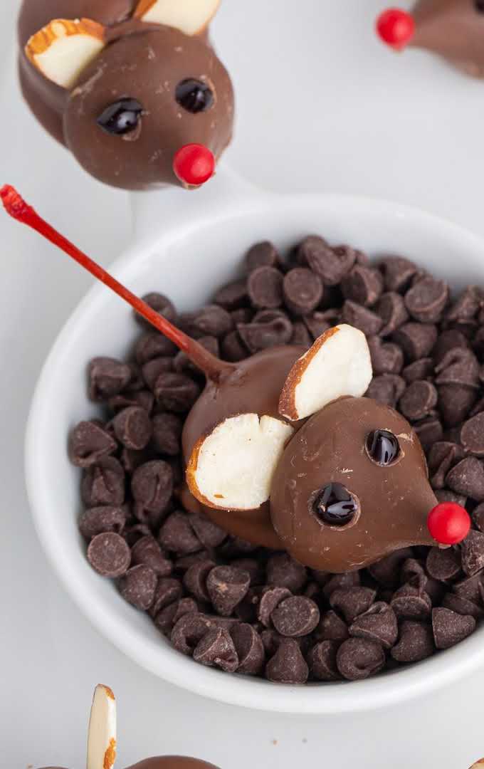close up shot of a Chocolate Cherry Mice on top of a bowl of chocolate chips