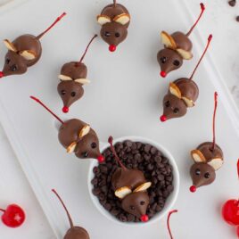 close up shot of Chocolate Cherry Mice with one mice on top of bowl of chocolate chips