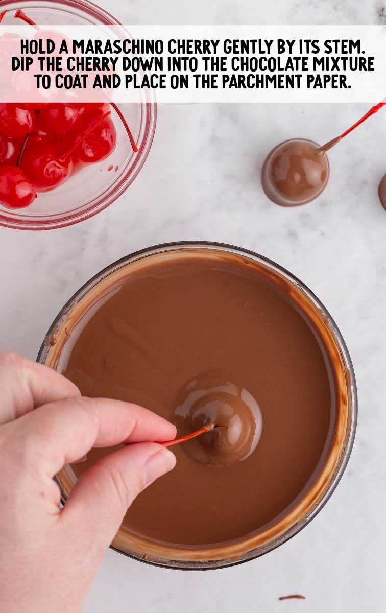 Chocolate Cherry Mice process shot of maraschino cherry dipped into the bowl of melted chocolate
