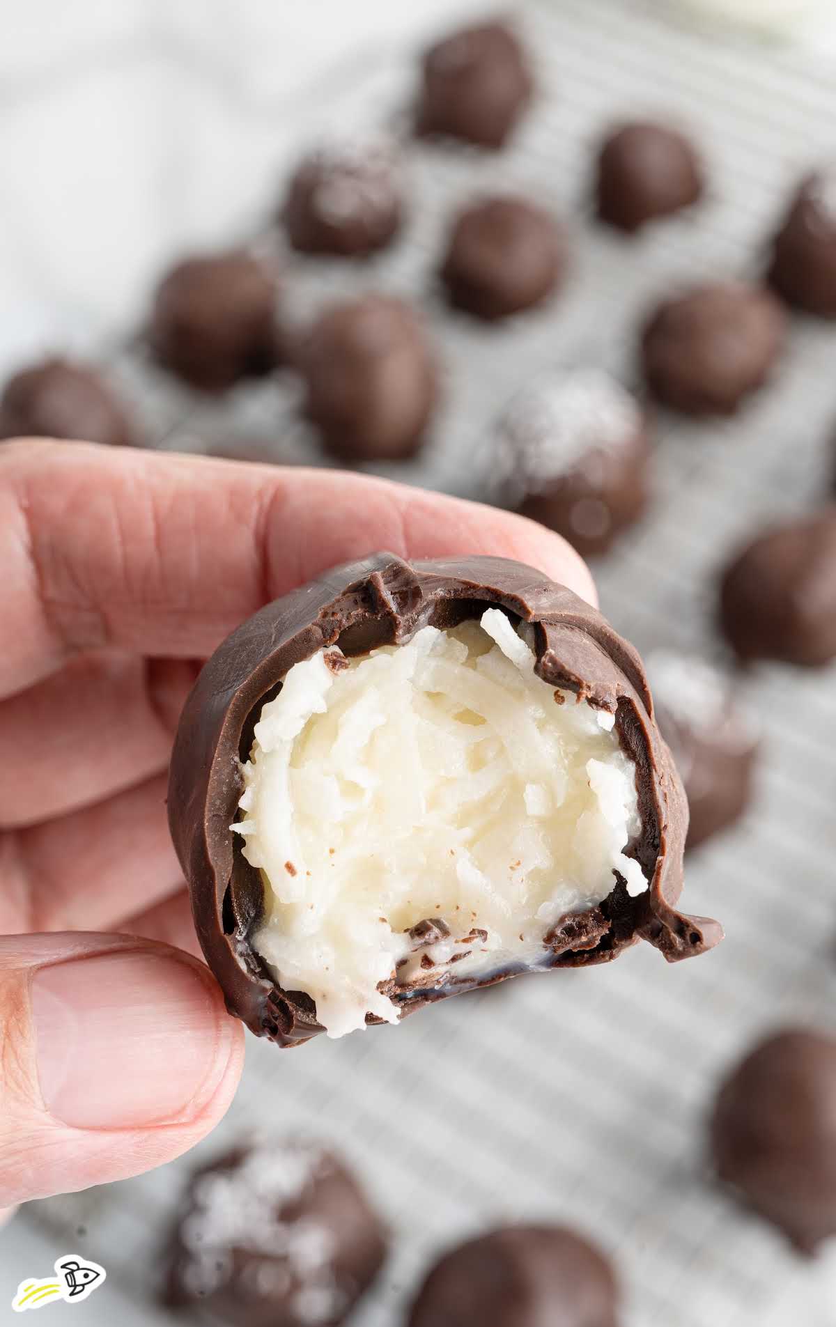 Hand holding a bitten chocolate coconut ball revealing coconut filling.
