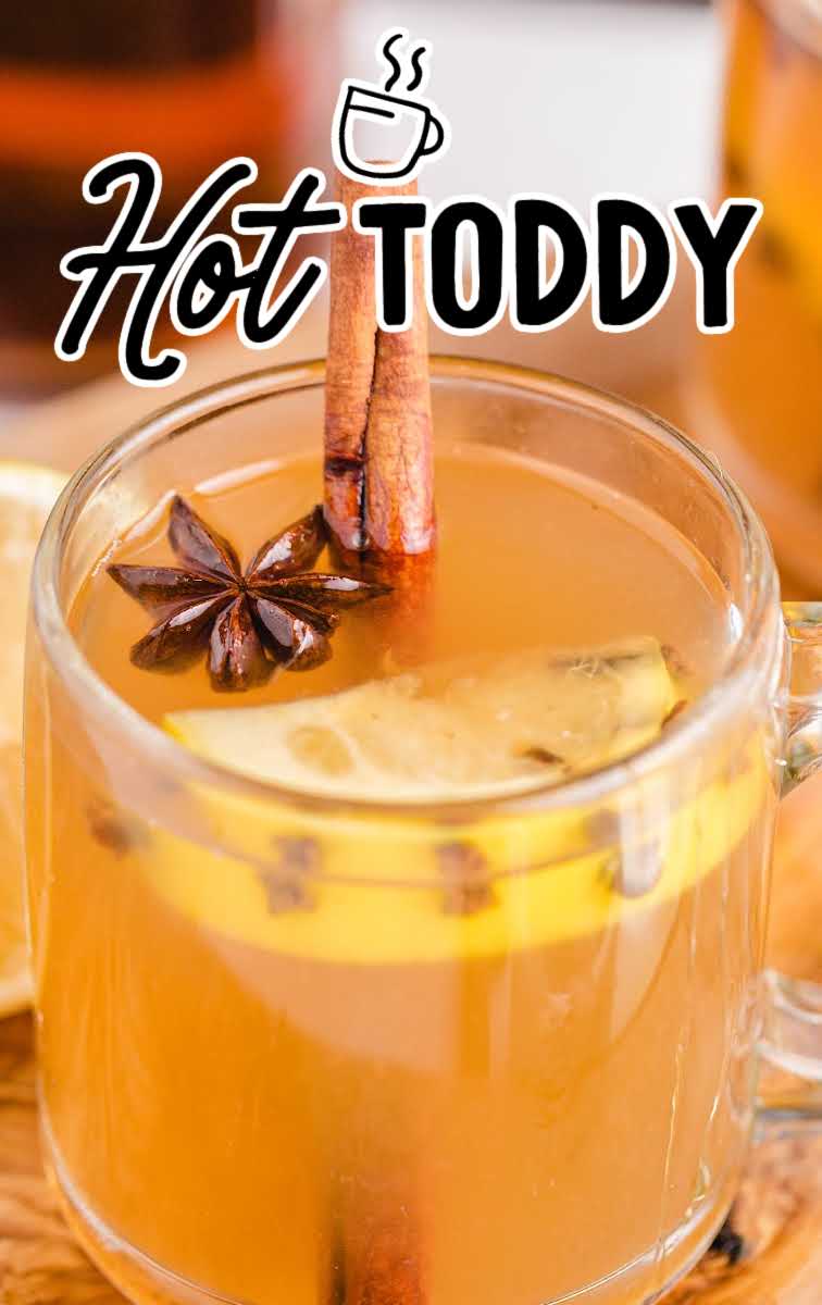 close up shot of a glass mug of Hot Toddy garnished with cinnamon, star anise, and lemon