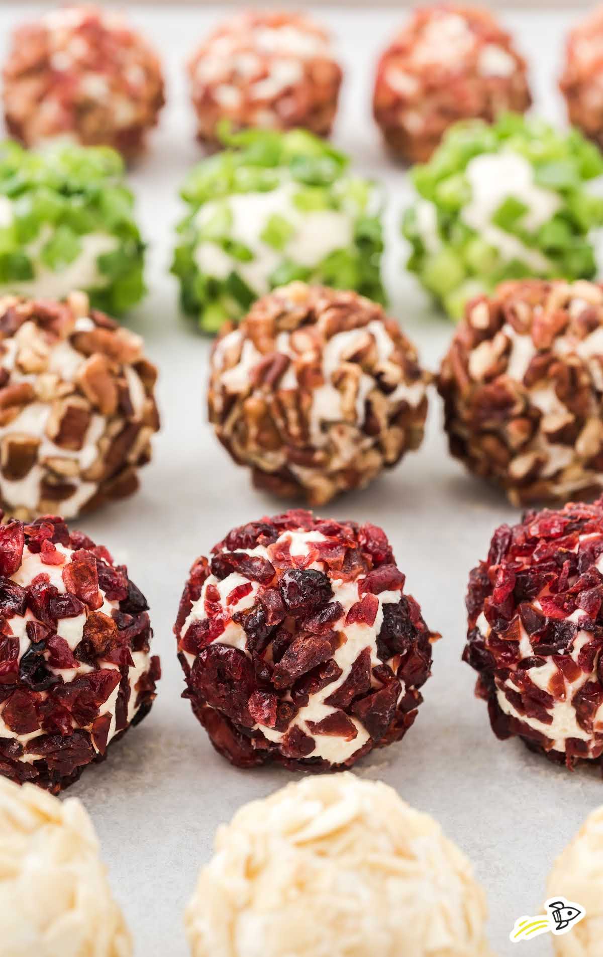 Rows of assorted mini cheeseball bites coated in green onions, cranberries, pecans, and bacon arranged on a baking sheet.
