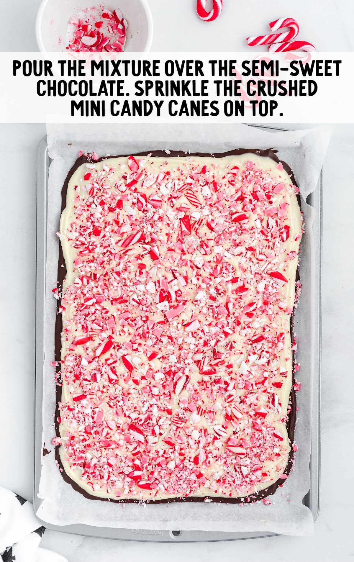 Peppermint Bark process shot of crushed candy canes sprinkled on top of chocolate