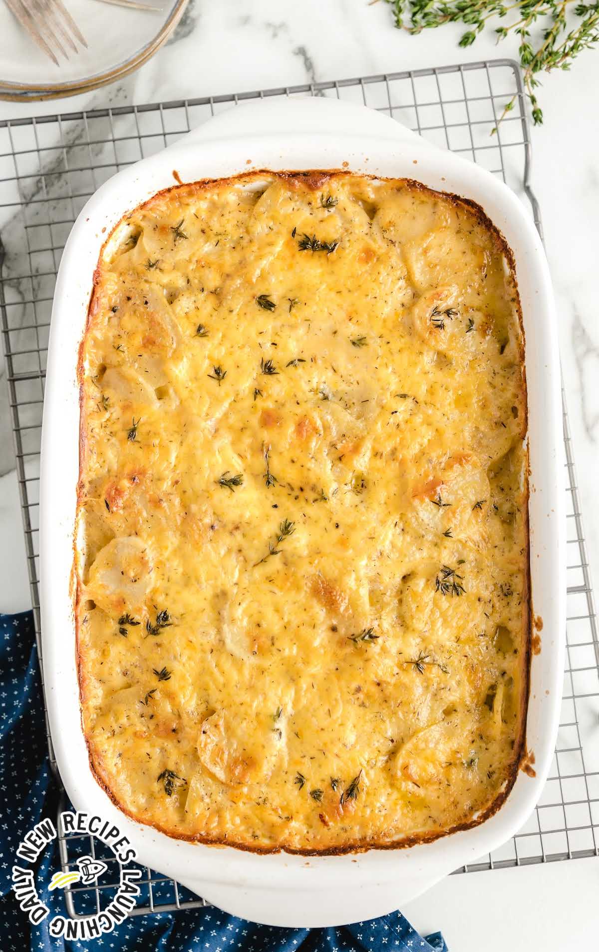 close up shot of Scalloped Potatoes garnished with fresh thyme in a baking dish