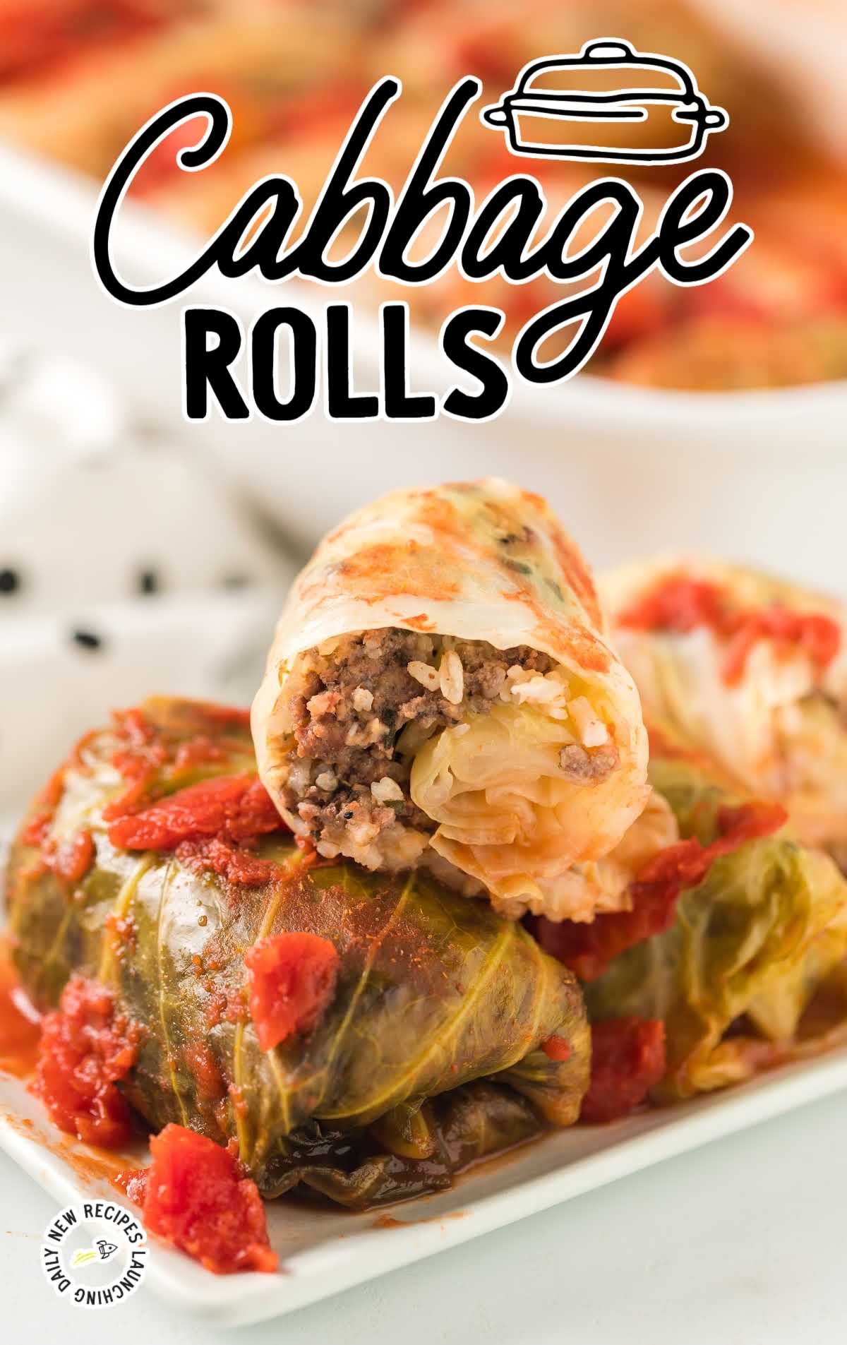 close up shot of a plate of Cabbage Rolls