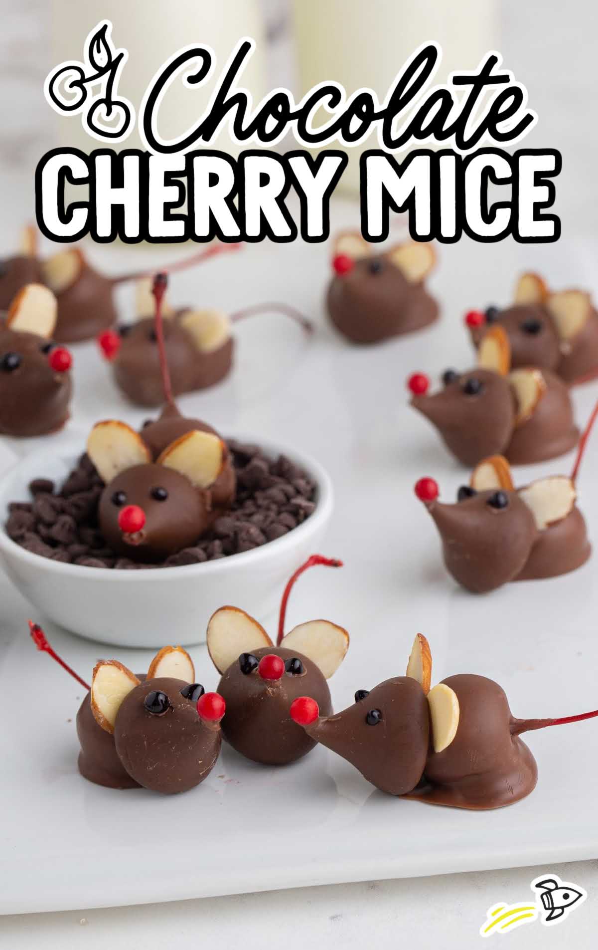 close up shot of a bunch of Chocolate Cherry Mice