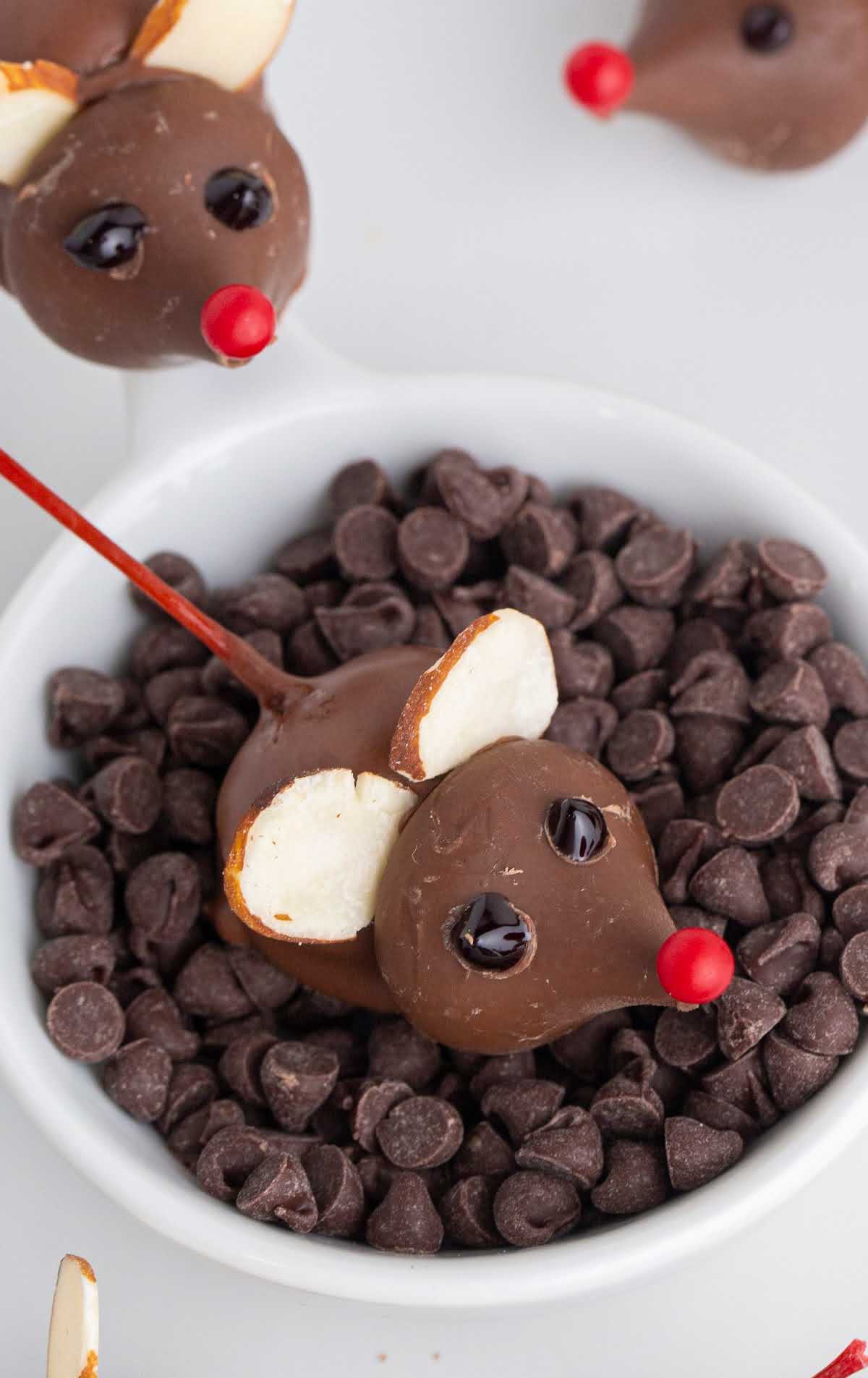 a Chocolate Cherry Mice in a bowl of chocolate chips