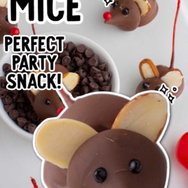 a bunch of Chocolate Cherry Mice with a bowl of chocolate chips