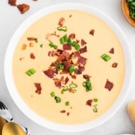 close up overhead shot of a bowl of Beer Cheese Soup topped with bacon bits and green onions