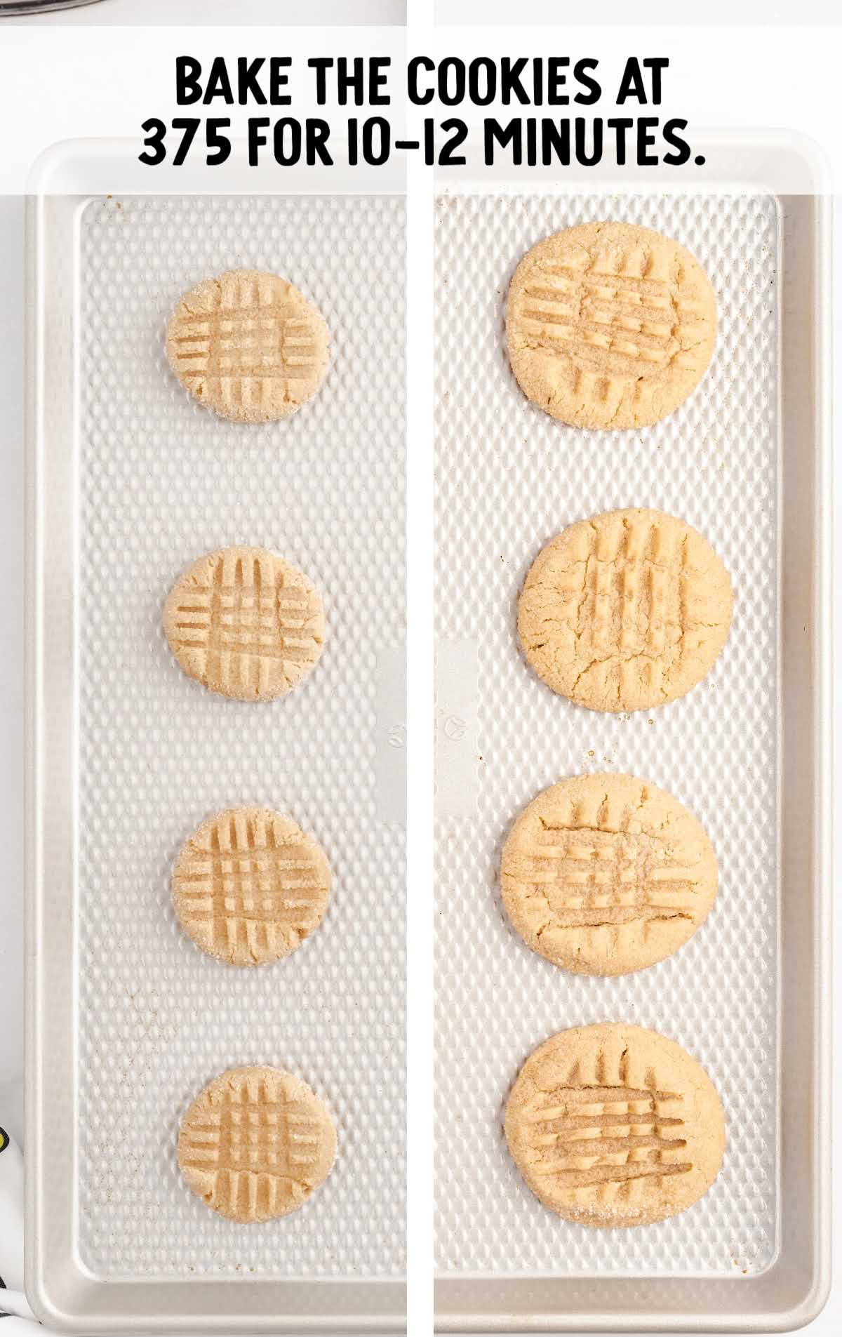 Peanut Butter Cookies process shot before and after cookies are baked on a baking sheet