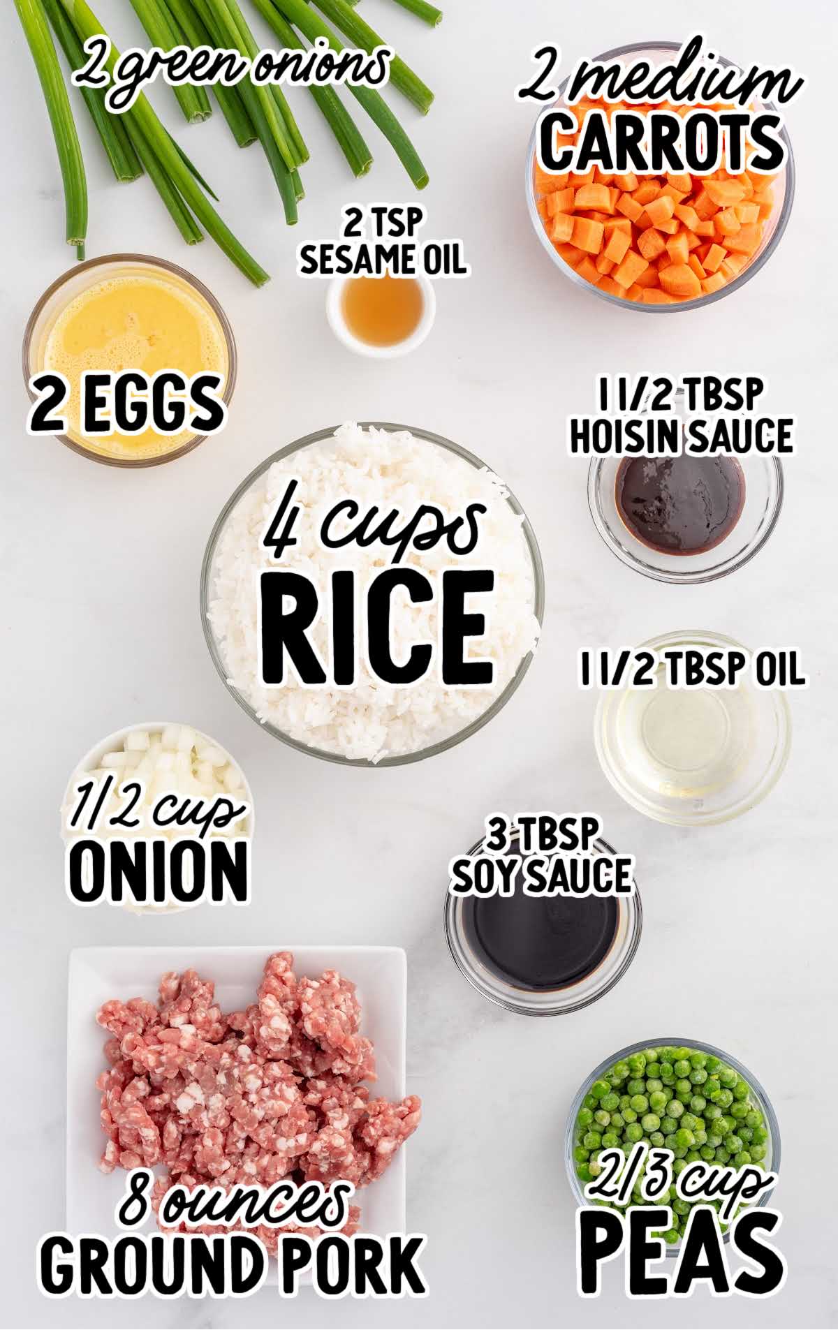 Pork Fried Rice raw ingredients that are labeled