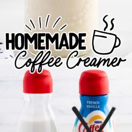 Homemade Coffee Creamer Recipe - Spaceships and Laser Beams