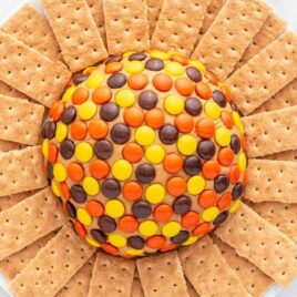 close up overhead shot of a serving plate of peanut butter ball surrounded by graham crackers