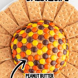 close up overhead shot of a serving plate of peanut butter ball surrounded by graham crackers