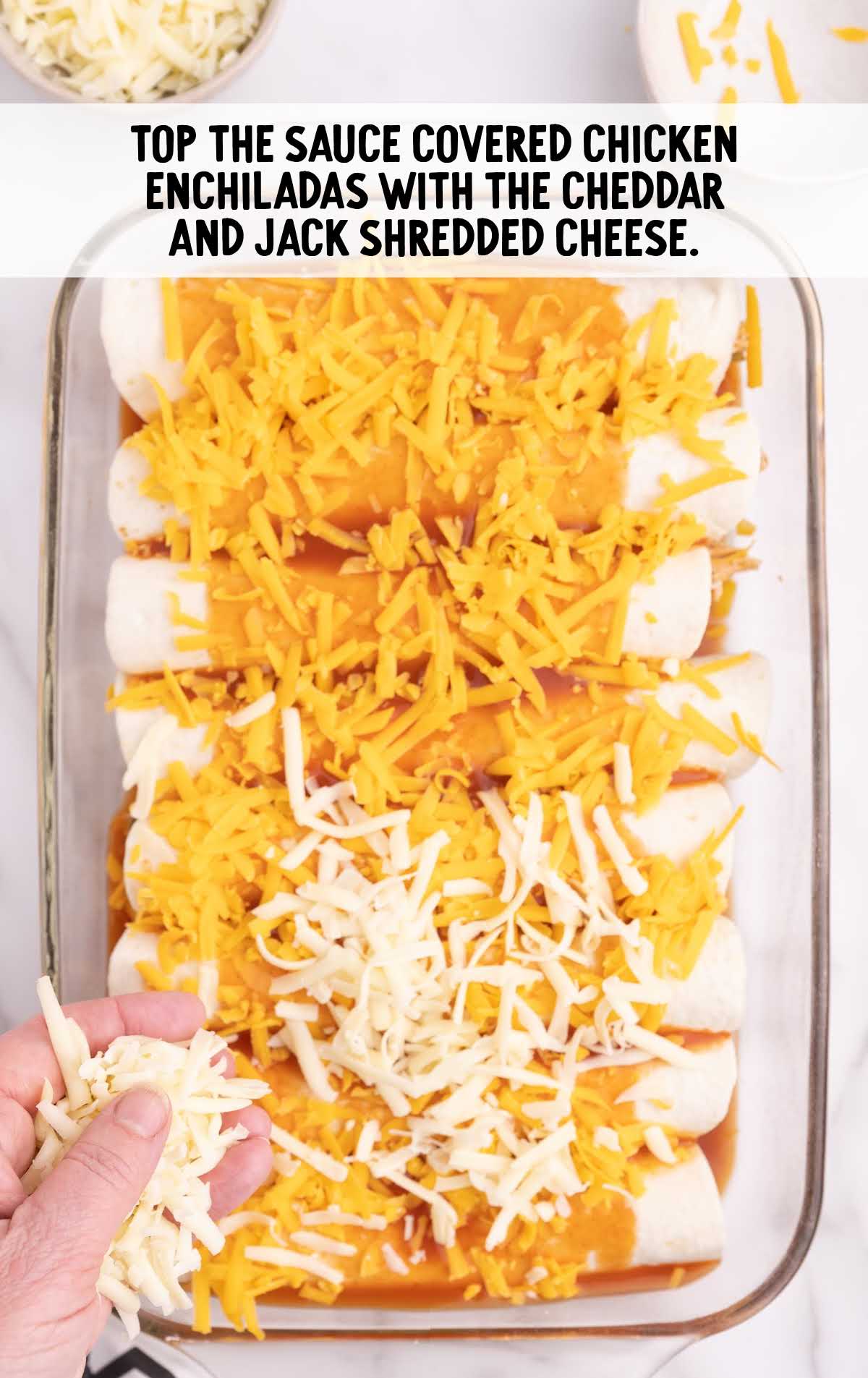 Chicken Enchiladas process shot of cheese sprinkled on top of enchiladas