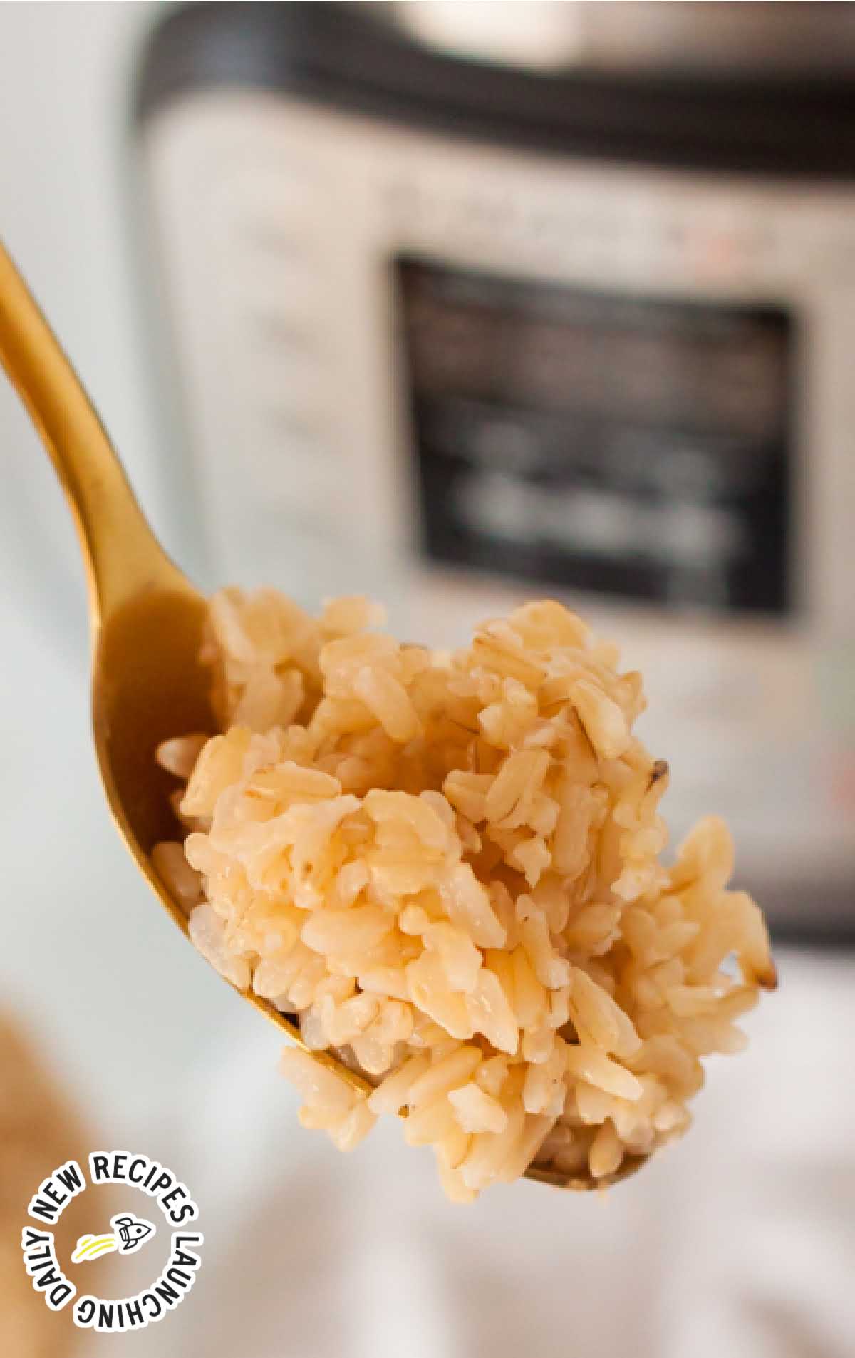 close up shot of a spoonful of rice