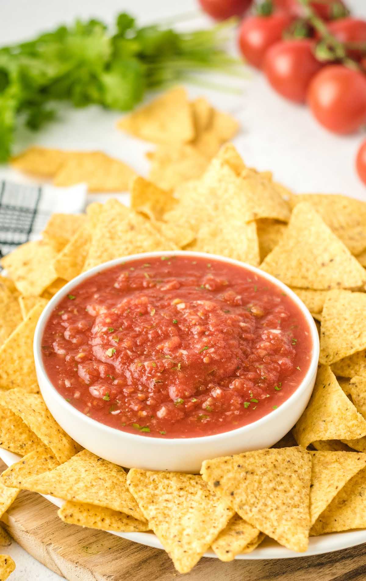 close up shot of a bowl of salsa with a tortilla chips surrounding it