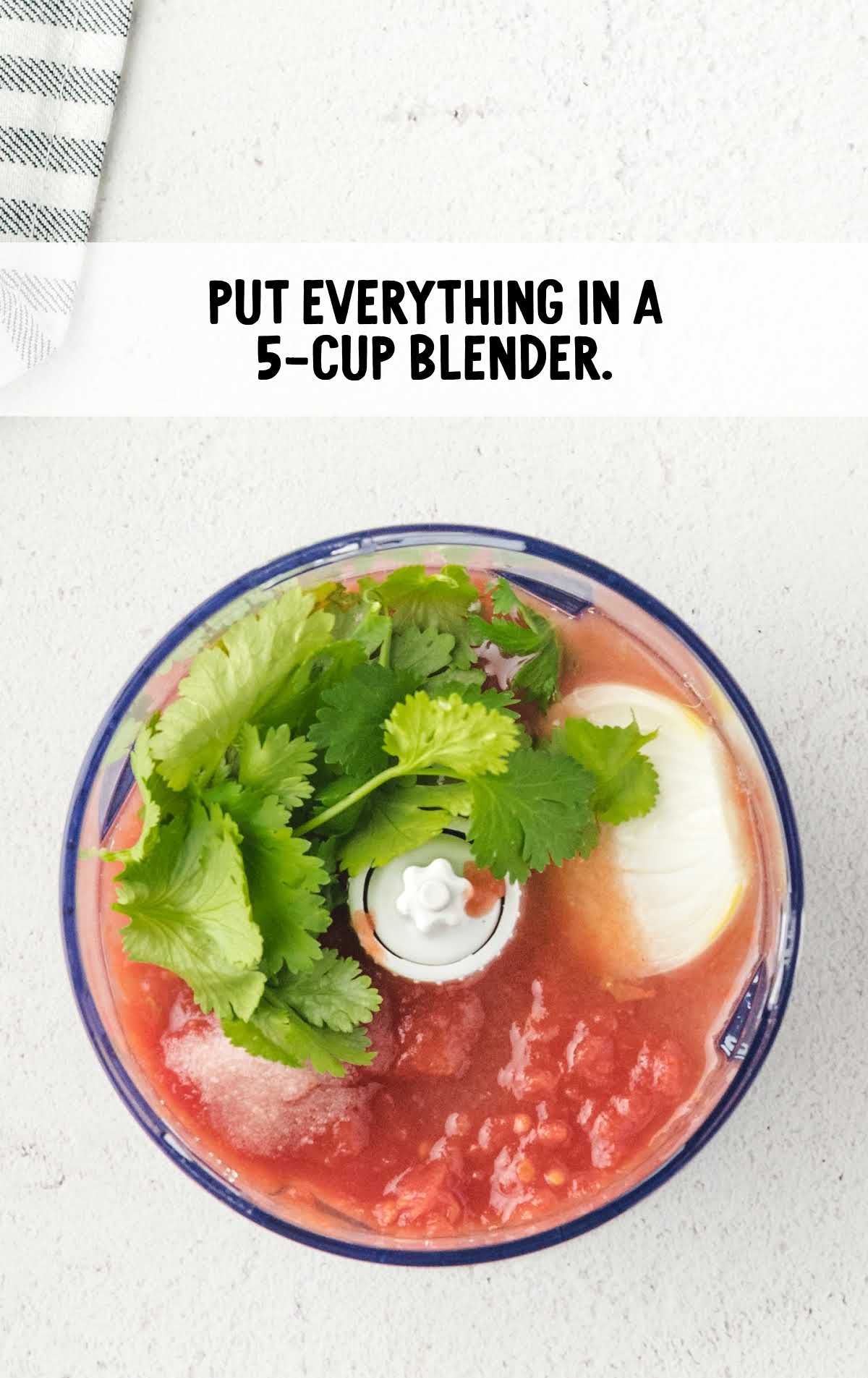 salsa ingredients in a 5-cup blender