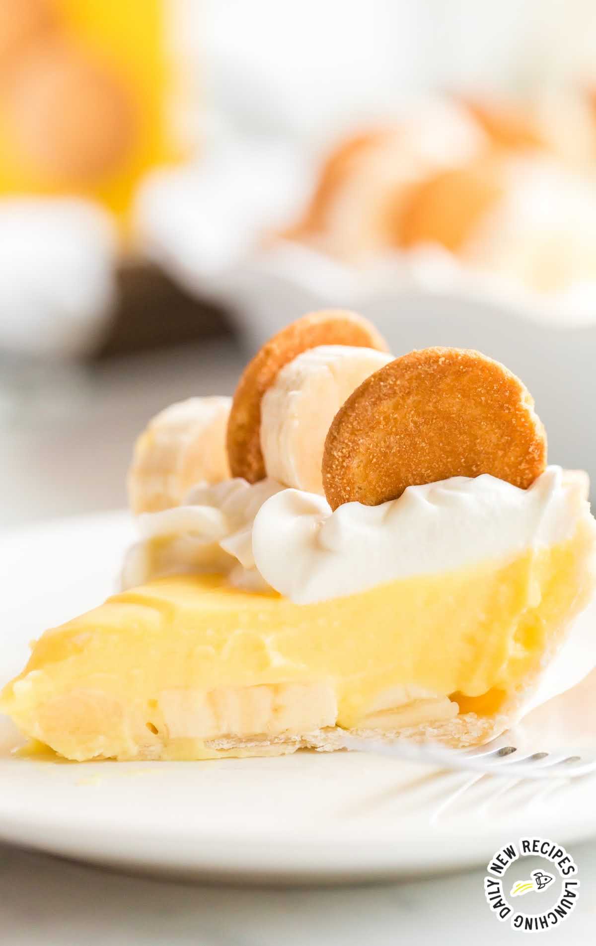 close up shot of a slice of banana pudding pie topped with whipped cream and vanilla wafers on a plate