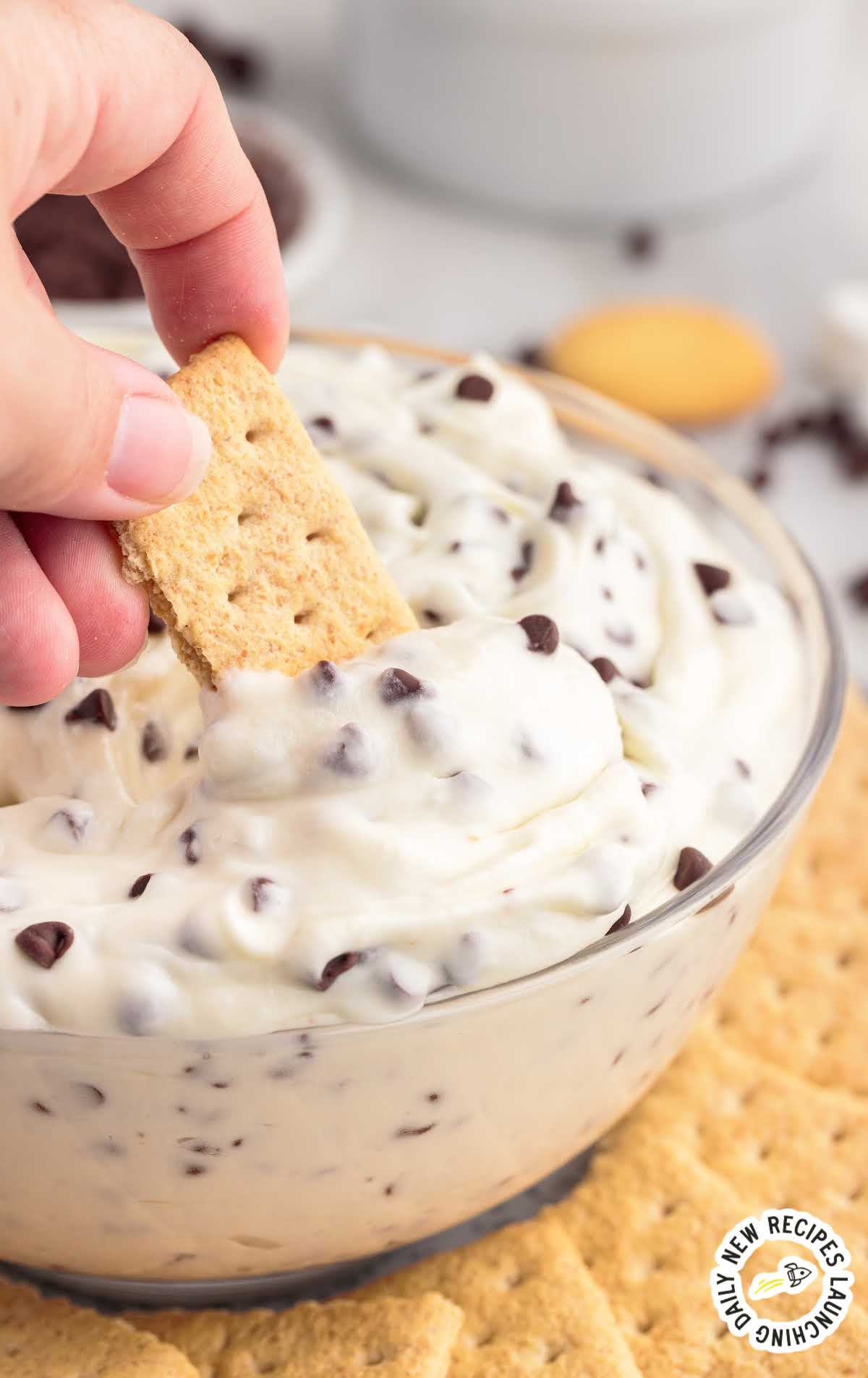 close up shot of a bowl of dessert dip with a graham cracker being dipped into it