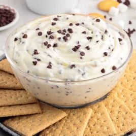 close up shot of a bowl of dessert dip with graham crackers surrounding it
