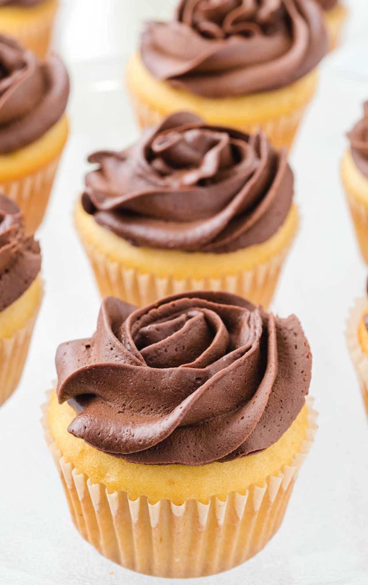 close up shot of a bunch of chocolate frosted cupcakes