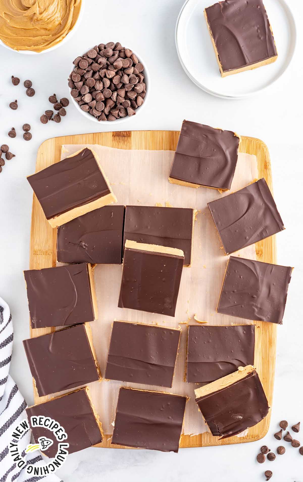 overhead shot of a bunch of peanut butter bars topped with a chocolate ganache