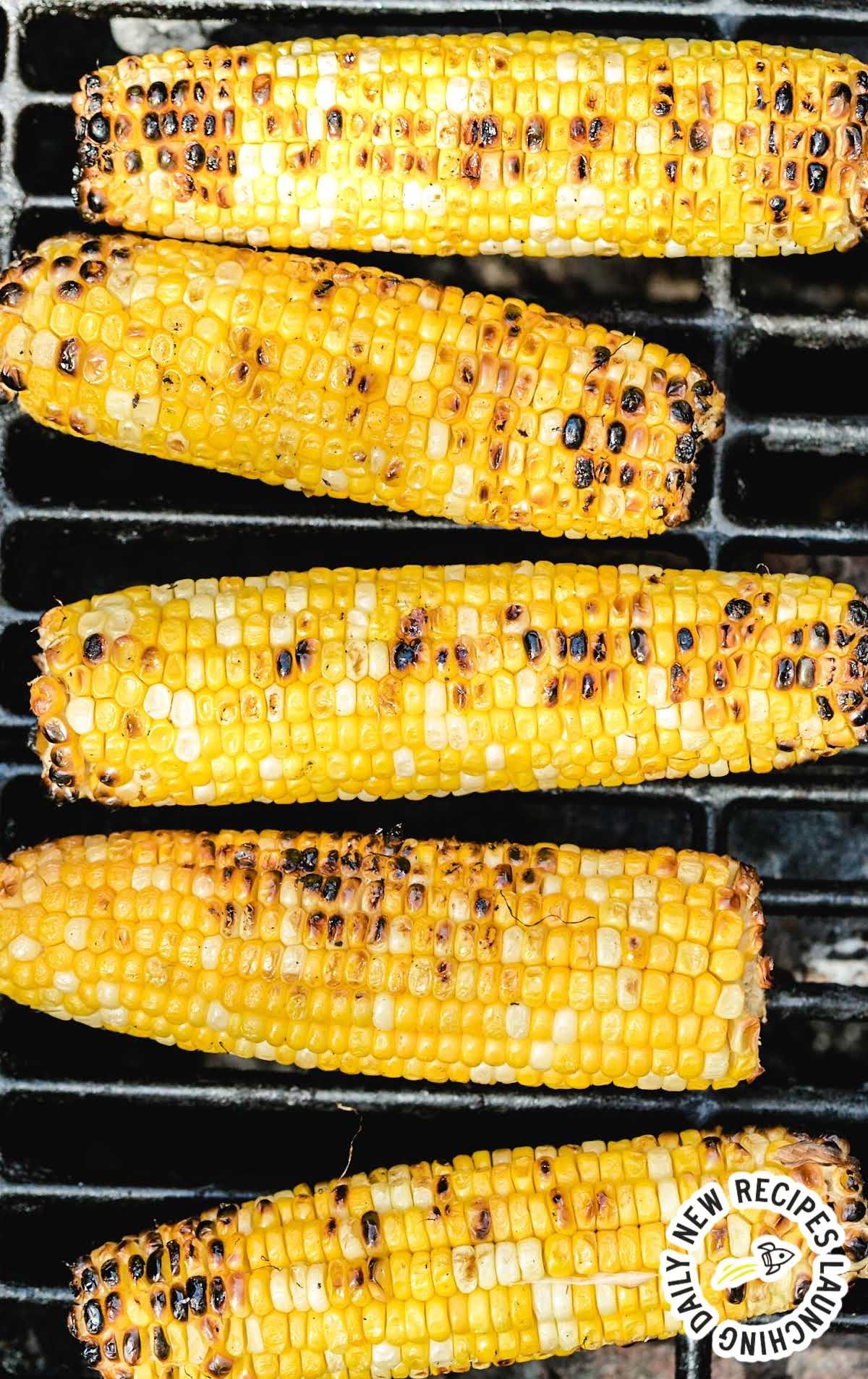 close up shot of grilled corn on the cob on a grill