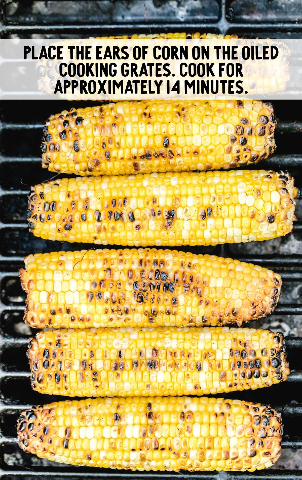 corn after being cooked and oiled on a grill