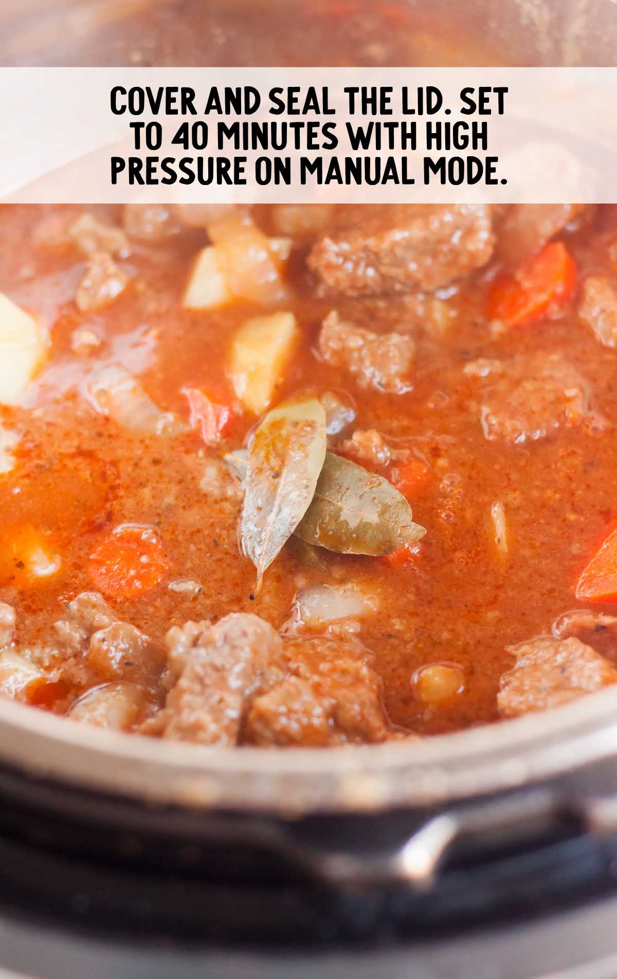beef stew cooked in a instant pot