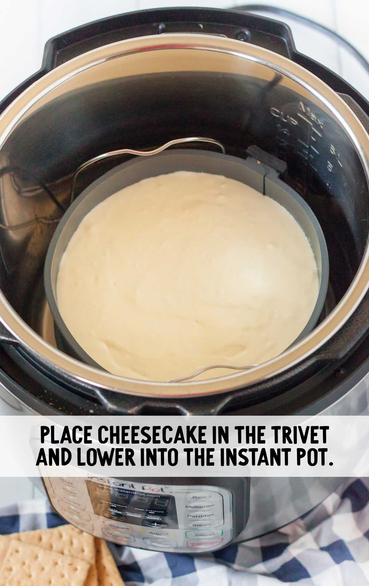 cheesecake placed in the instant pot