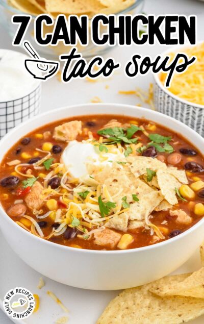 7 Can Chicken Taco Soup - Spaceships and Laser Beams