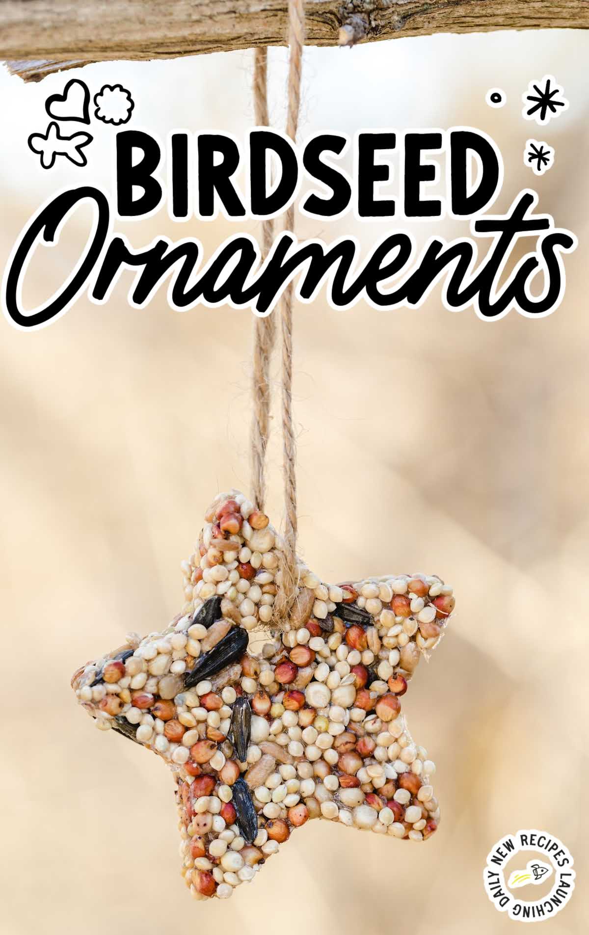 a Birdseed Ornament hanging on a branch with a string