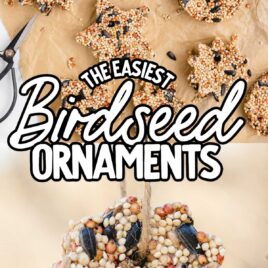 a bunch of Birdseed Ornaments on parchment paper and Birdseed Ornaments on a string