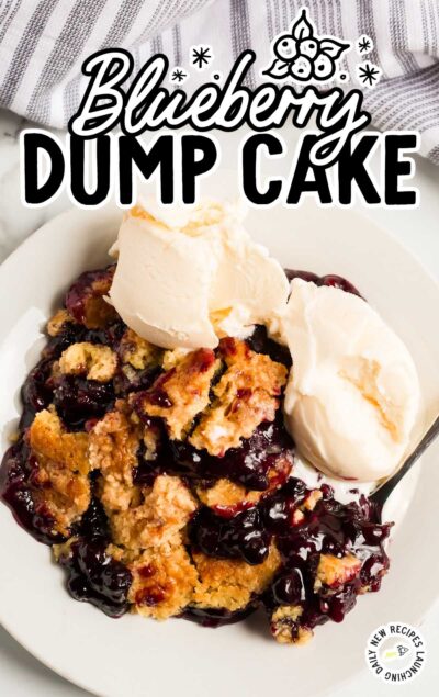 Blueberry Dump Cake - Spaceships and Laser Beams