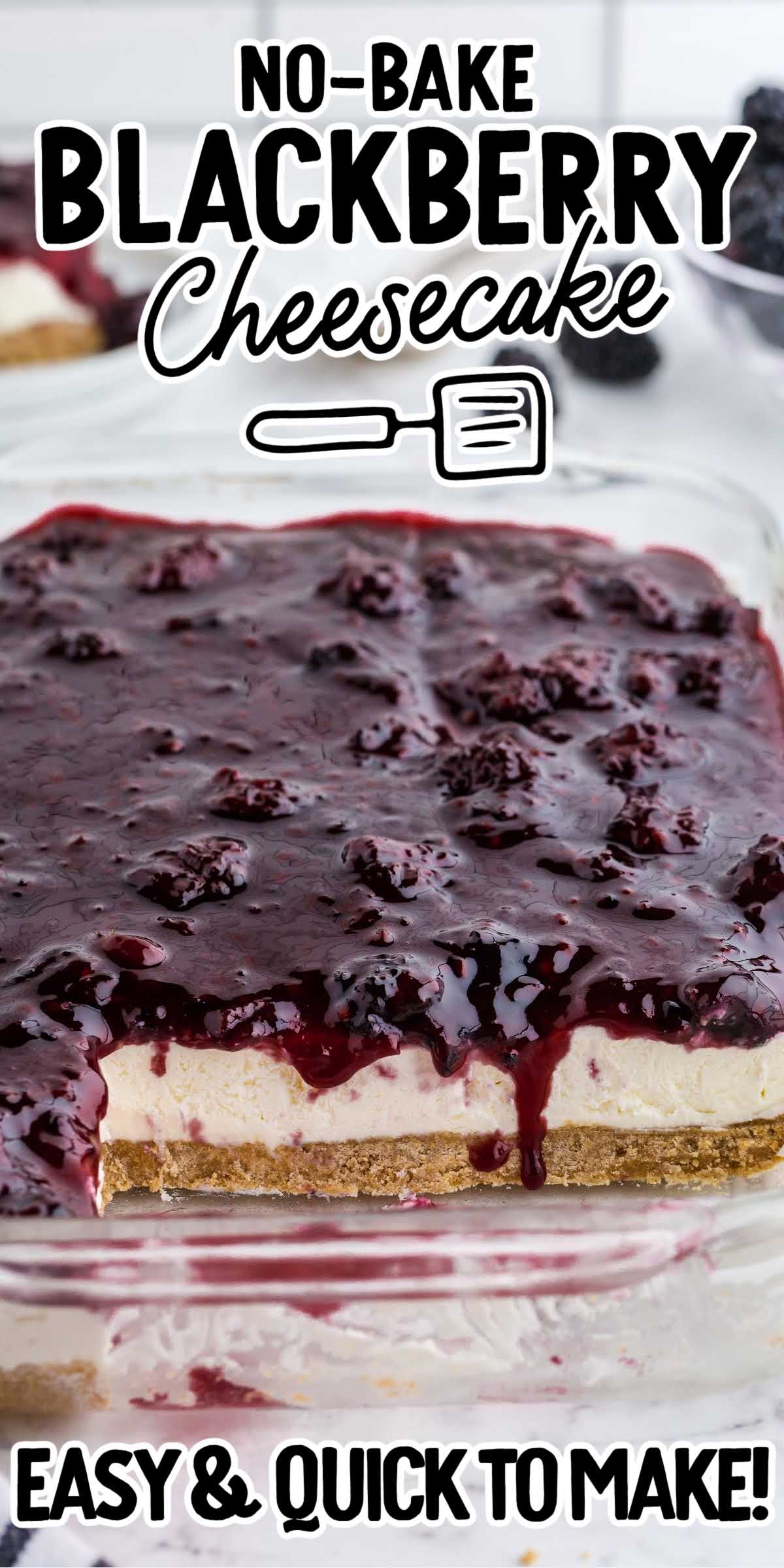 No Bake Blackberry Cheesecake - Spaceships and Laser Beams