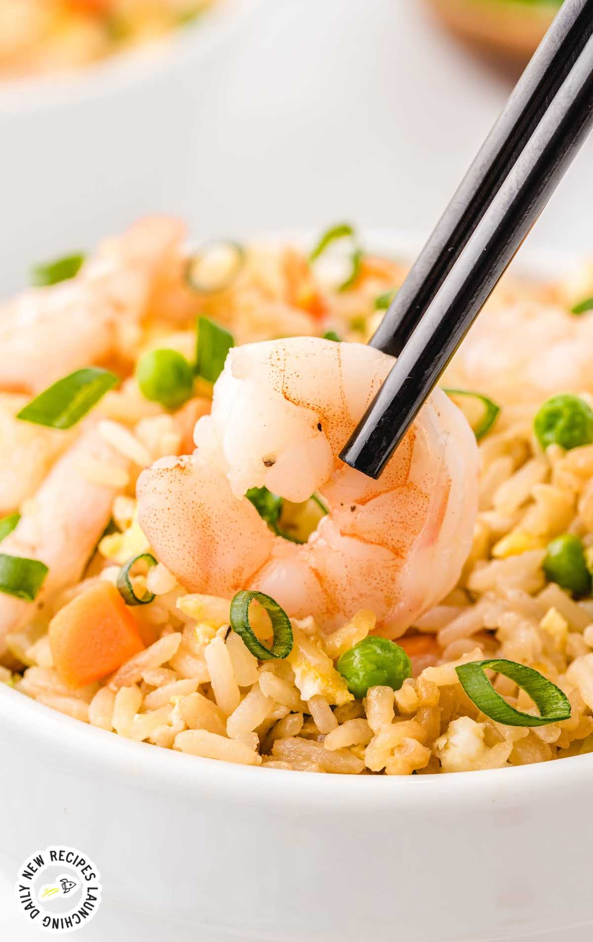 close shot of a bowl of Shrimp Fried Rice garnished with green onions with chopsticks