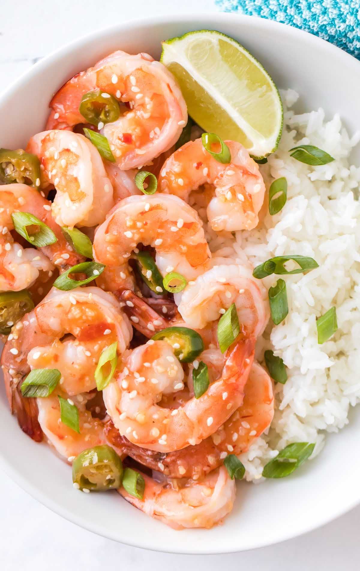 close up shot of a bowl of Spicy Garlic Shrimp garnished with green onions and served with white rice