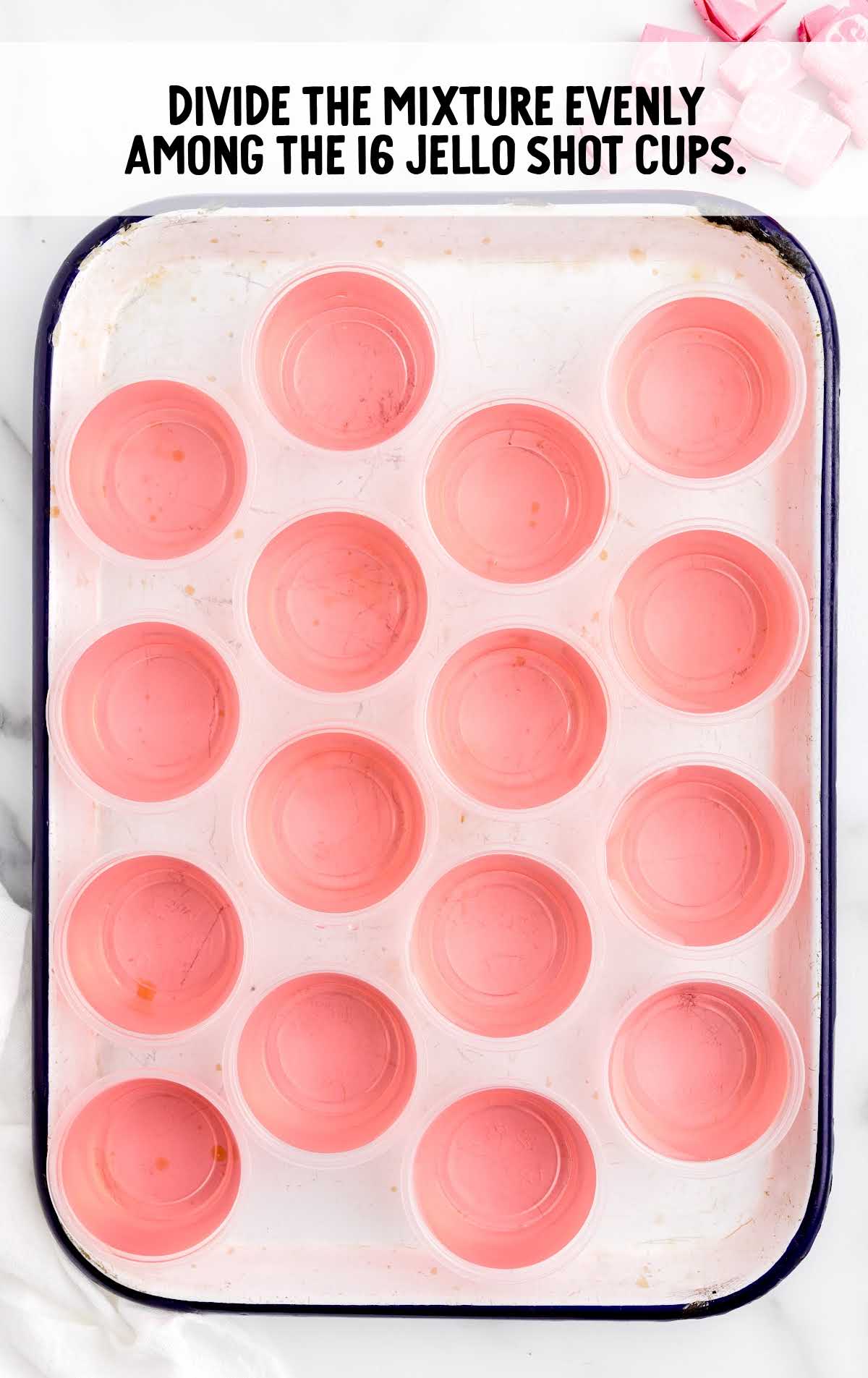 jello shot cups in a baking dish