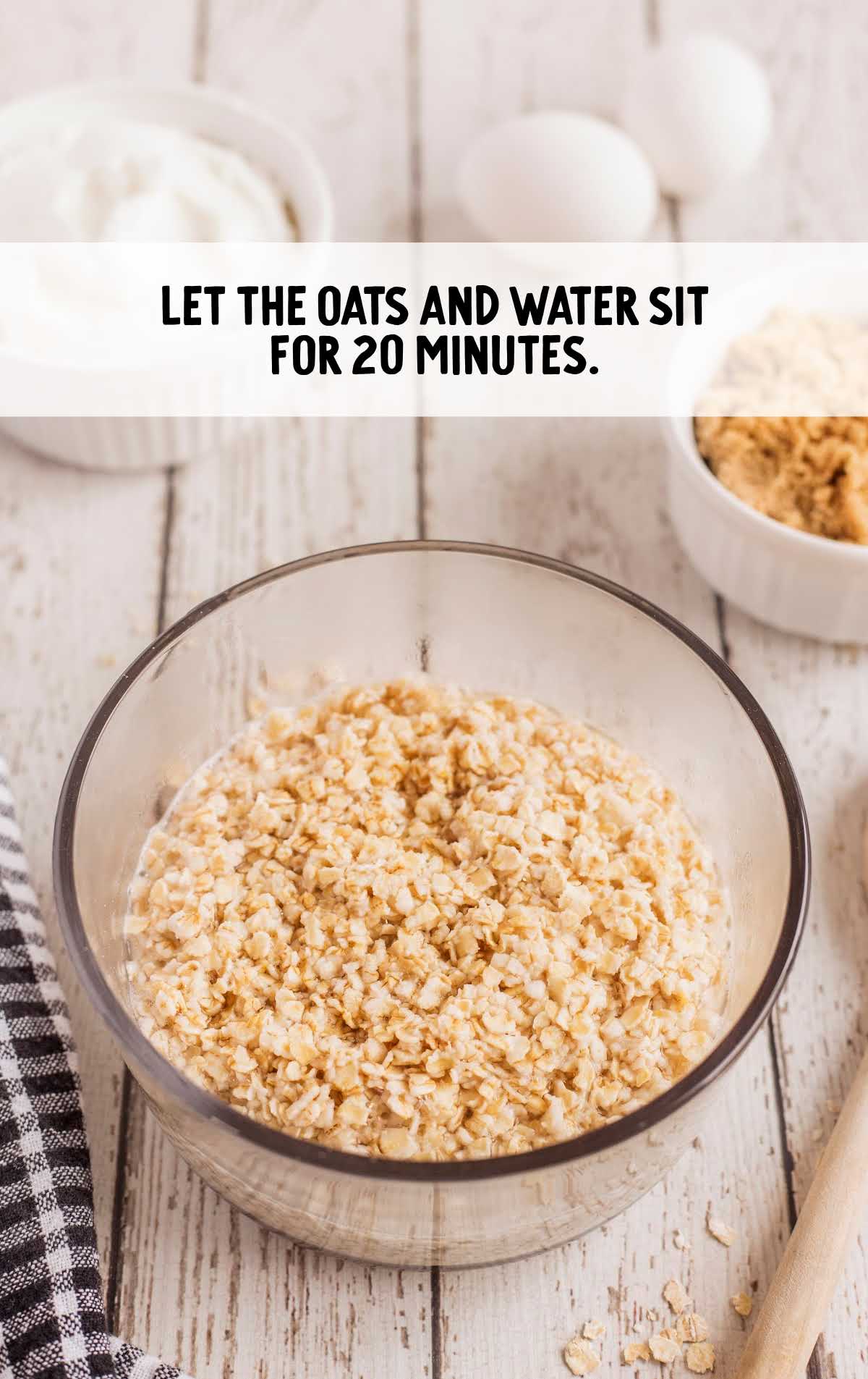 oats and water in a bowl