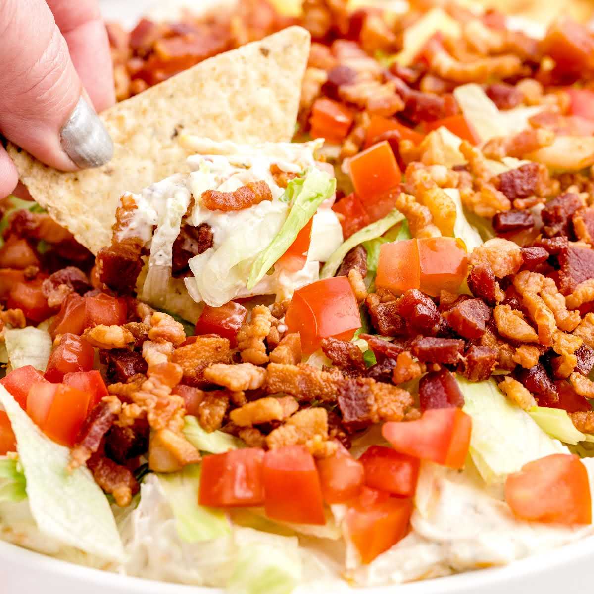 close up shot of BLT Dip with a tortilla chip